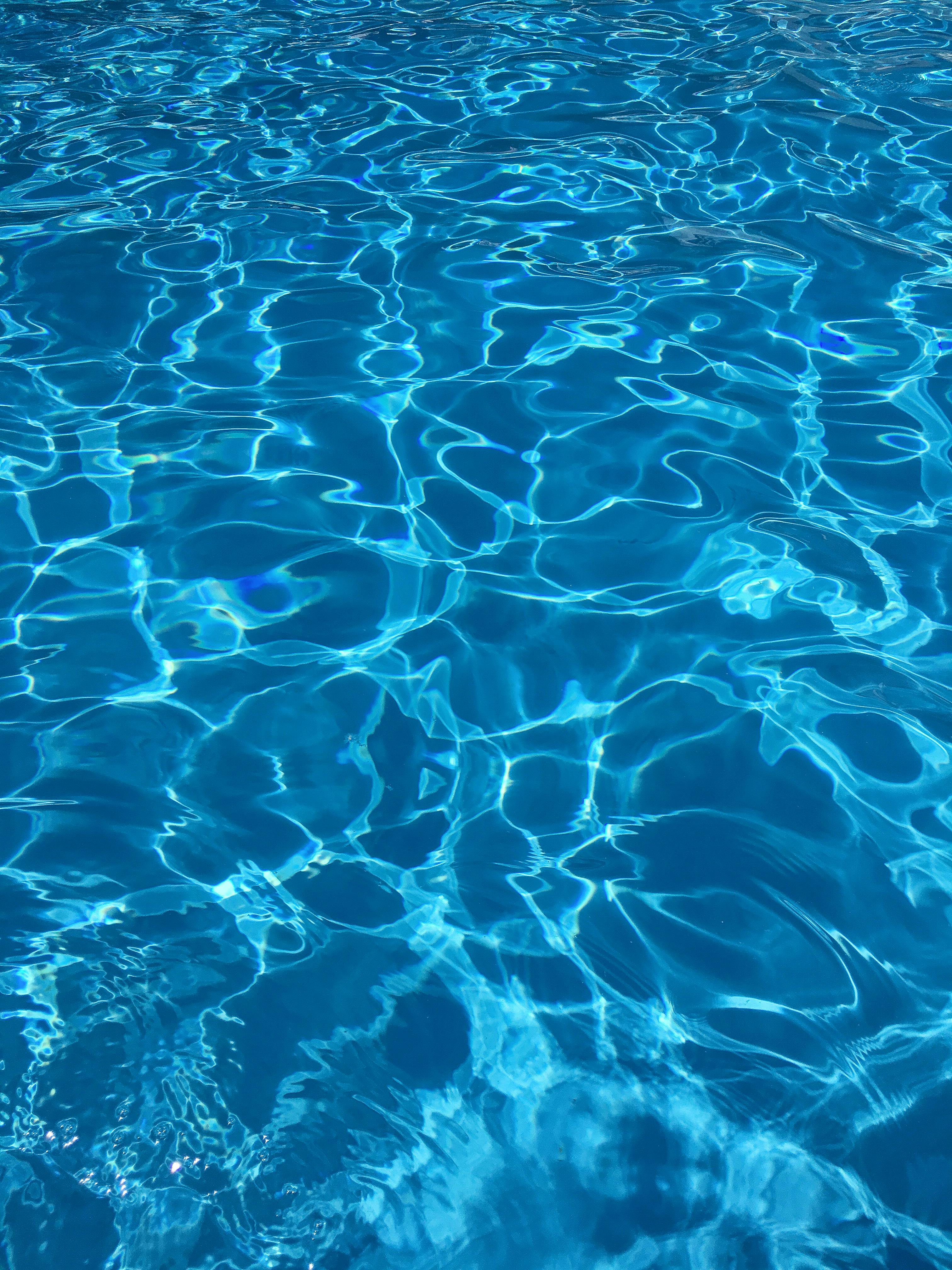Pool area where pumps, filters, and circulation equipment are serviced